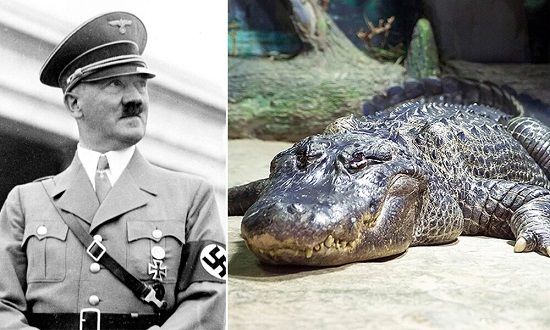 تمساح هیتلر در ۸۴سالگی از دنیا رفت!