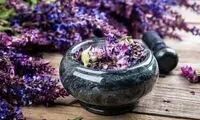 این گیاه حافظه را زیاد و افکار منفی را از شما دور می‌کند