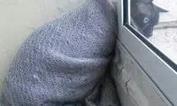 شوخی‌های جالب شبکه‌های اجتماعی (478)