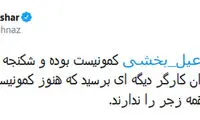 مهناز افشار: به داد خانواده‌های کارگران دیگر برسید