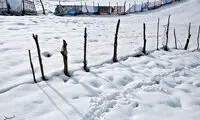 بارش برف در مازندران