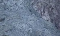 تصاویر استثنایی از پلنگ برفی نادر