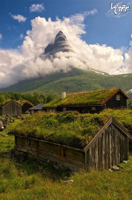 خانه های افسانه‌ای اسکاندیناوی با بام سبز!