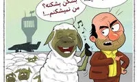 کارتون؛ واکنش گوسفند‌ها به کاهش قیمت گوشت!