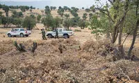 تخریب کوره‌های زغال در کرمانشاه