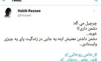 حمایت «چرچیلی» حبیب رضایی از روحانی