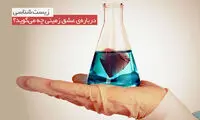 زیست شناسی درباره عشق زمینی چه می گوید؟