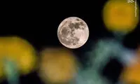 نزدیکترین فاصله ماه تا زمین