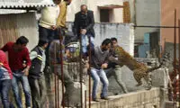 حمله حیوانات به انسان‎