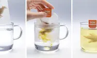 عکس: هنرنمایی با چای کیسه‌ای