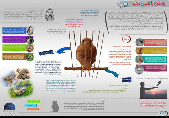 اینفوگرافی: پرندگان را عصبی نکنید!