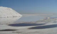 عاقبت همنوعان دریاچه ارومیه