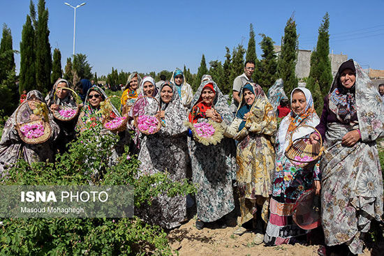 آیین گُل غلتان نوزادان در امیریه دامغان