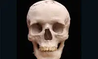 بازسازی چهره مرد 9500 ساله