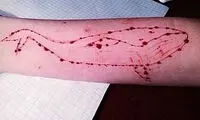 بازی Blue Whale و خودکشی کاربرانش!
