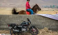 جشنواره‌ی «اسب کُرد»