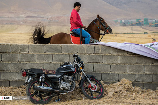 جشنواره‌ی «اسب کُرد»