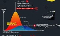 اینفوگرافیک؛ چرا باید در خانه بمانیم؟