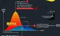 اینفوگرافیک؛ چرا باید در خانه بمانیم؟