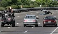 بدلکاران این روزها چه می‌ کنند؟