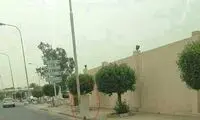 عکس: برهنگی در اعتراض به شرايط اقتصادی