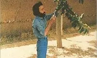 قبر سهراب سپهری را بار دیگر سفید کنیم +فیلم
