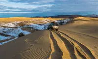 بیابان طلایی وسط کوه‌های پر برف سیبری