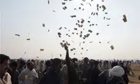مسابقات اسکی با گاو در پاکستان! +عکس