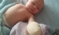 روباه انگشت نوزاد را کند +عکس