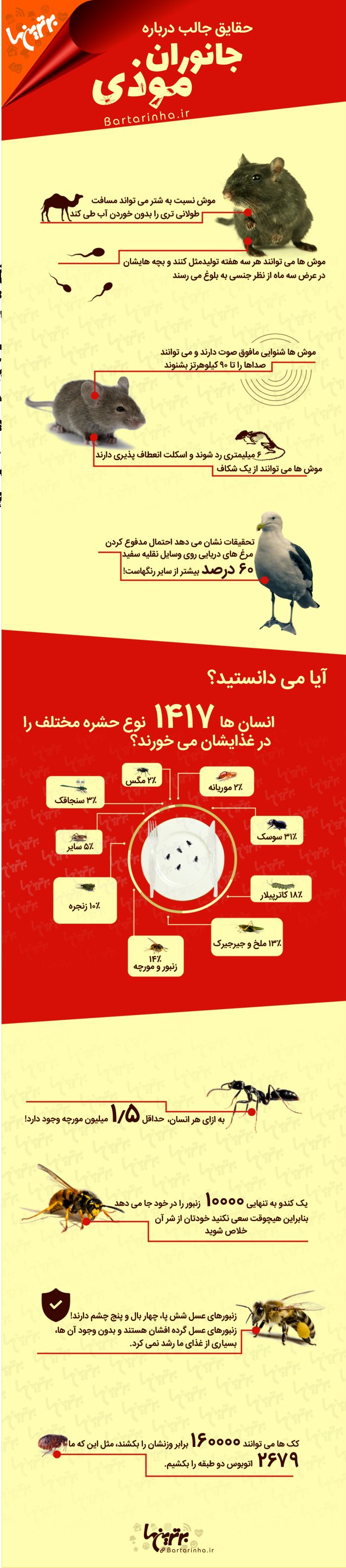 اینفوگرافی؛ حقایق جالب درباره جانوران موذی!