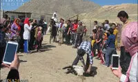 ازدواج زوج چینی در خراسان شمالی +عکس