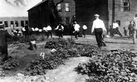 عکس: کشتار سیاهان‌‌ در تابستان‌ سرخ