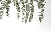 ایده هایی برای تزیینات کریسمس و استقبال از سال میلادی