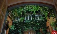 حیاط این خانه یک جنگل واقعی است +عکس
