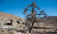 بلای بی‌آبی بر سر روستاهای خراسان جنوبی