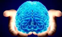 مغز انسان آنالوگ است یا دیجیتال؟