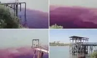 ماجرای لکه ارغوانی رنگ در رودخانه کارون