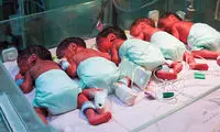 گفت‌وگو با پدر ٦ قلو‌های تبریزی