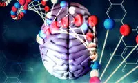ژن هایی که انسان را باهوش می کنند