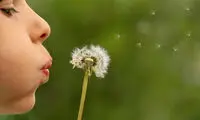 وقتی نمی‌توانید به آرزویتان برسید چه باید بکنید