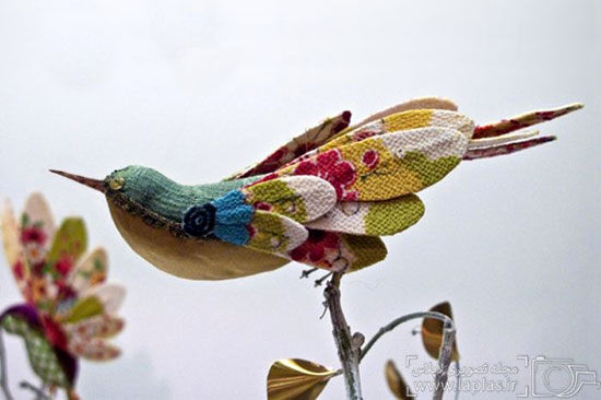 تصاویری از پرنده های زیبای پارچه ای