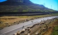 عکس؛ طبیعت زیبای گردنه الماس