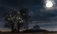 عکس: پروژه هنری تاباندن چهره بر طبیعت