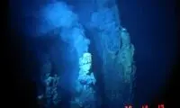 با حیوانات برق‌دار طبیعت آشنا شوید!