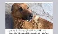 واکنش شهره سلطانی به منع حضورش در تلویزیون