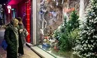 چند قاب متفاوت از حال و هوای کریسمس در تهران
