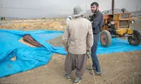 برداشت و خشک کردن تخمه در روستای «چمه»