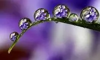 عکس هایی شگفت انگیز از قطره های آب