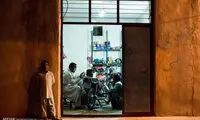 عکس: چ مثل چکن دوزی
