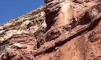 حرکت دیوانه‌وار یک دوچرخه سوار در کوهستان